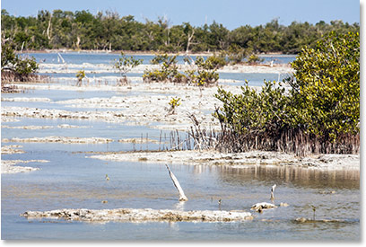 Kubanischer Nationalpark